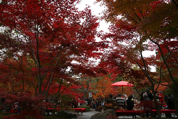 Eikando Temple, Kyoto, 2006-11 (C) Seiji Yoshimoto