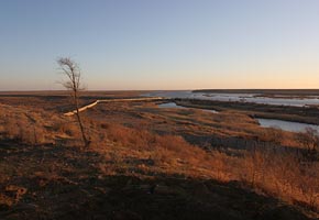 Syrdarya River, Baikonur, (C) Seiji Yoshimoto