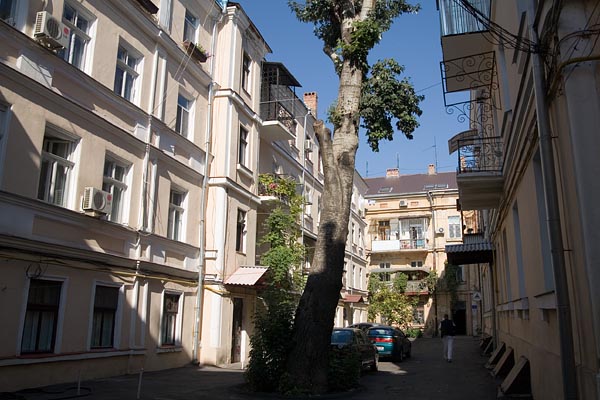 A typical Odessa's Courtyard, 2006-10 (C) Seiji Yoshimoto