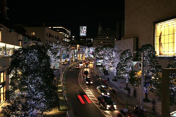 Keyakizaka, Roppongi hills, Tokyo,2006-12 (C) Seiji Yoshimoto