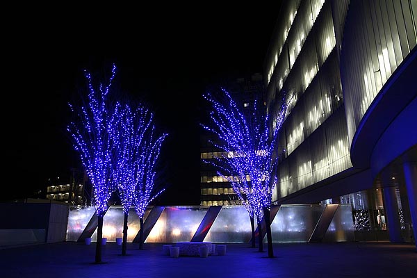 Keyakizaka, Roppongi hills, Tokyo,2006-12 (C) Seiji Yoshimoto