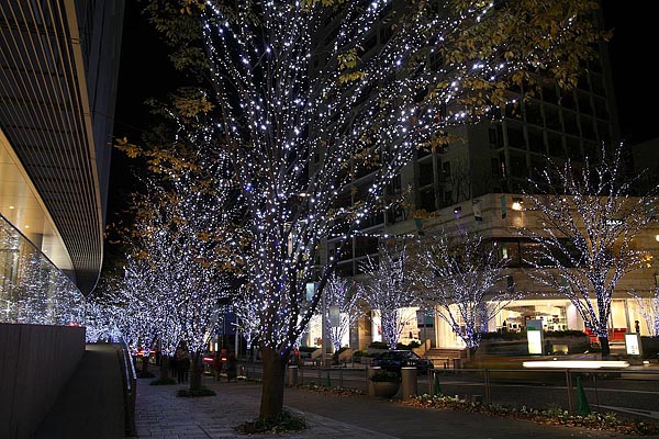 Keyakizaka, Roppongi hills, Tokyo,2006-12 (C) Seiji Yoshimoto