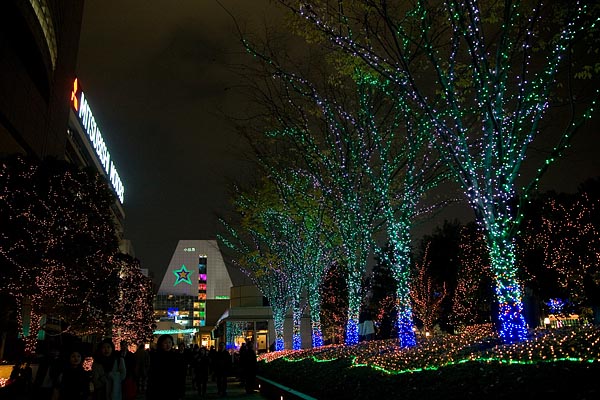 Shinjyuku, Tokyo, 2006-12 (C) Seiji Yoshimoto