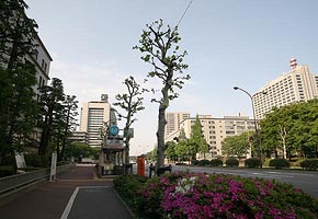 Government Ministries, Kasumigaseki, Tokyo, 2006-05, (C) Seiji Yoshimoto