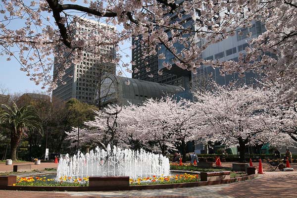 Hibiya Park, Tokyo, 2006-04, (C) Seiji Yoshimoto