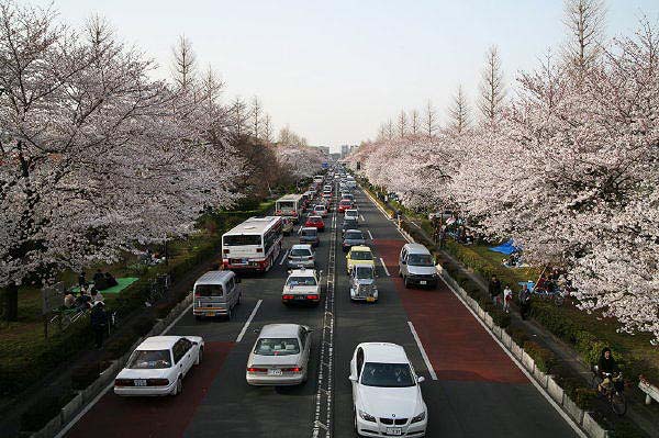 Kunitachi, Tokyo, 2006-04, (C) Seiji Yoshimoto