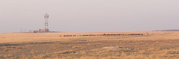 Countryside along the way from Orsk and Yasny, 2006-10 (C) Seiji Yoshimoto